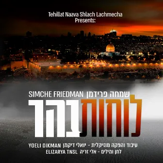 לוחות בהר by Simche Friedman