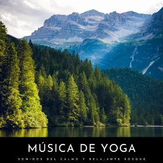 Música De Yoga: Sonidos Del Calmo y Relajante Bosque by Yoga Nidra