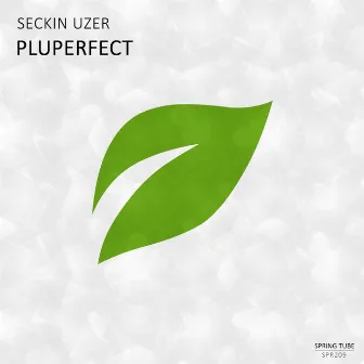 Pluperfect by Seckin Uzer