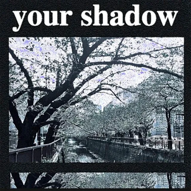 Your Shadow