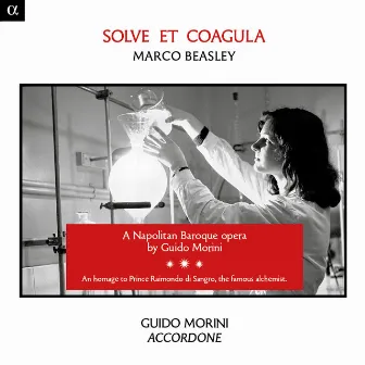 Morini: Solve et coagula by Guido Morini