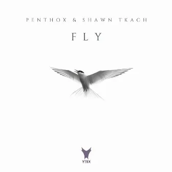 Fly by Penthox