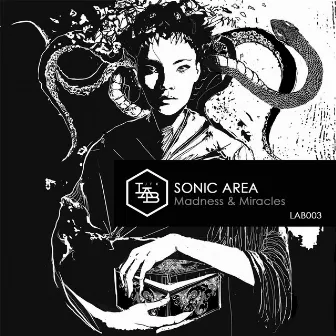 Madness and Miracles by Sonic Area