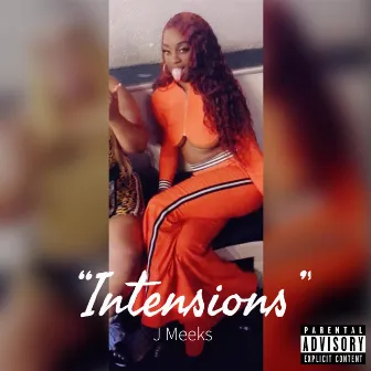 Intensions by J Meeks