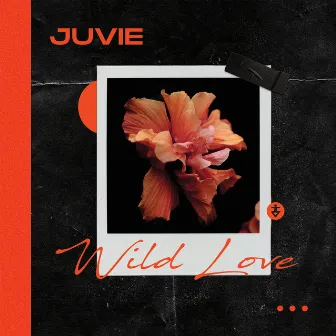 Wild Love by Juvie