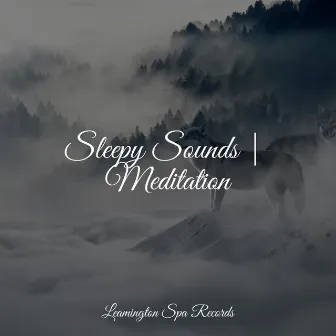 Sleepy Sounds | Meditation by Mindfulness Mediation World