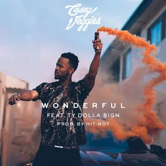 Wonderful (feat. Ty Dolla $ign) by Casey Veggies