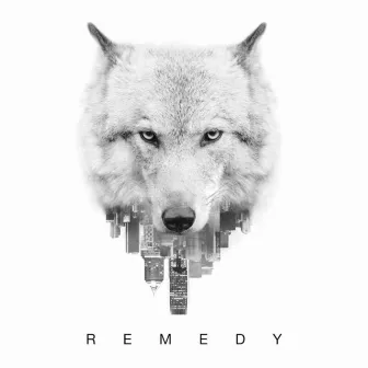 Remedy by Quincy Davis