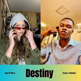 Destiny (Madison Martin's Remix) by Shakur Mendez