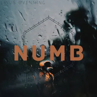 NUMB by Linus Svenning