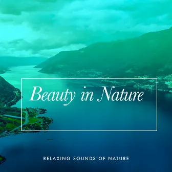 Beauty in Nature by Relaxing Sounds of Nature