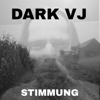 STIMMUNG by Dark VJ