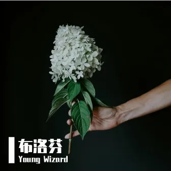 布洛芬 by Young Wizard