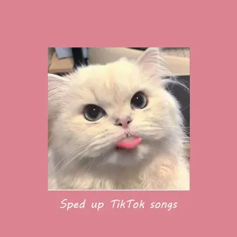 Sped up TikTok songs | Sped up Orinn #30 by Orinn Sped