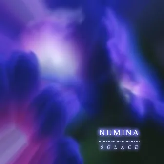 Solace by Numina