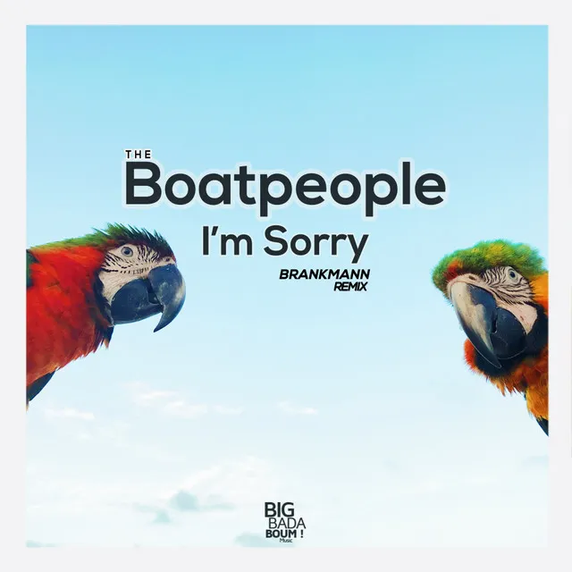 I'm Sorry - Brankmann Remix