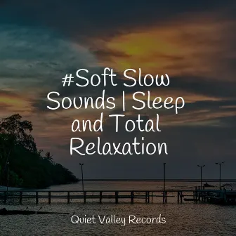 #Soft Slow Sounds | Sleep and Total Relaxation by Sleep Sounds