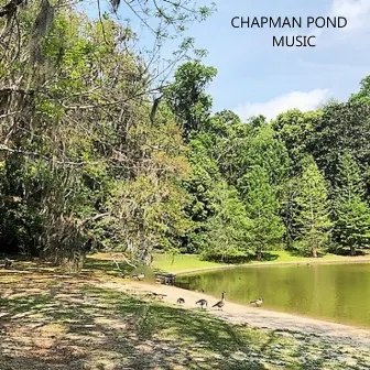 Fur Elise by Chapman Pond Music