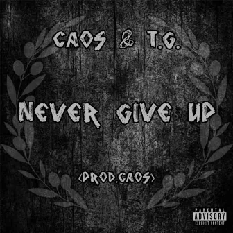 Never Give Up by Caos