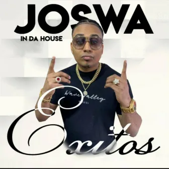 Exitos by Joswa In Da House