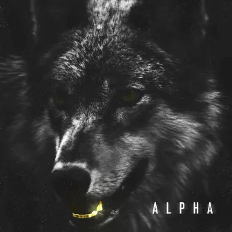 Alpha by Lord Big