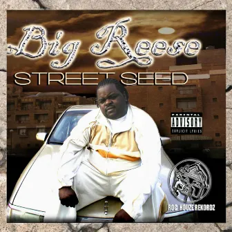 Street Seed, Vol. 1 by Big Reese