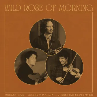 Wild Rose of Morning by Andrew Marlin