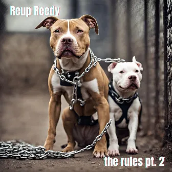 The Rules Pt. 2 by ReUp Reedy