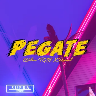 Pegate by Wilson TGB