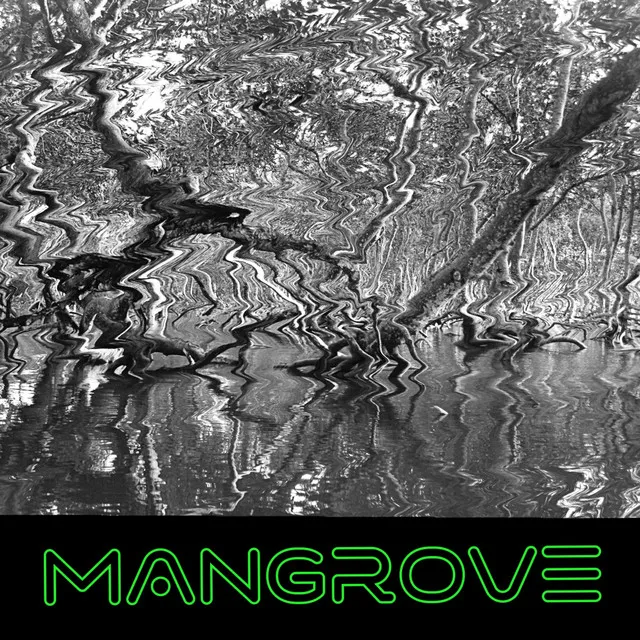 Mangrove