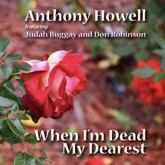 When I'm Dead My Dearest by Anthony Howell