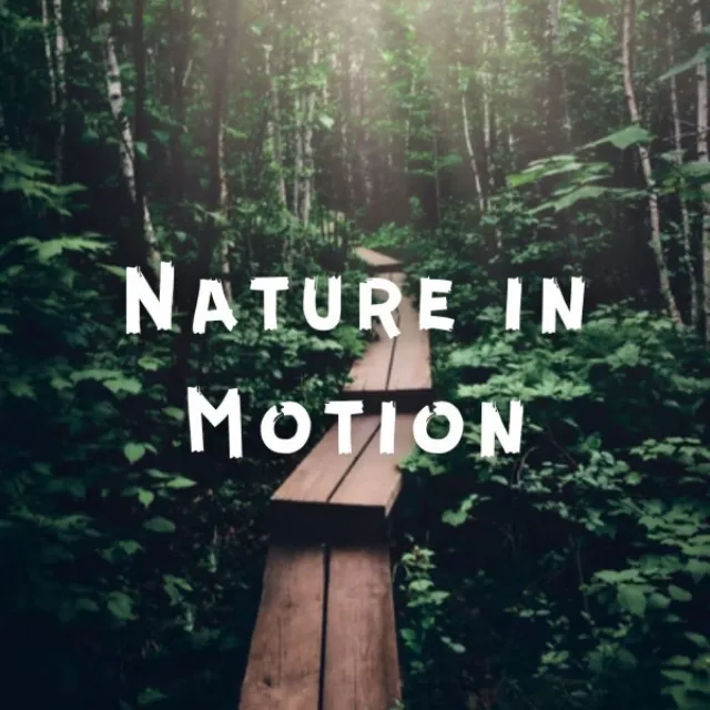 Nature in Motion