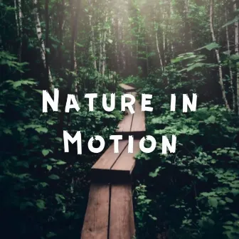 Nature in Motion by Unknown Artist