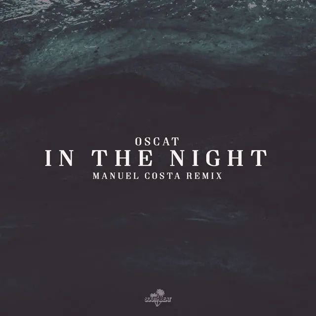 In the Night - Manuel Costa Remix