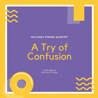 A Try of Confusion by Steven Settinger