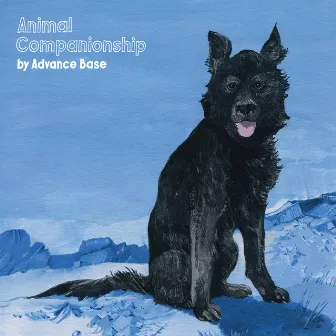 Animal Companionship by Advance Base