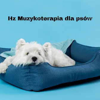 Hz Muzykoterapia dla psów: Kojące dzwięki dla uszu psa, Relaksujący spokój dla zwierząt samych w domu by Muzykoterapia dla psa