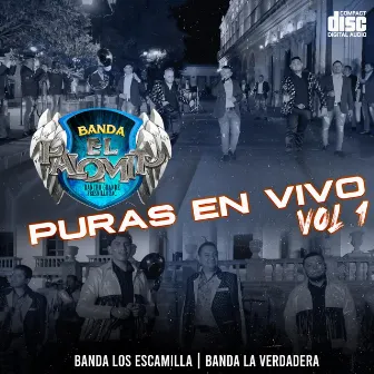 puras en vivo, Vol. 1 (En vivo) by Banda El Palomito