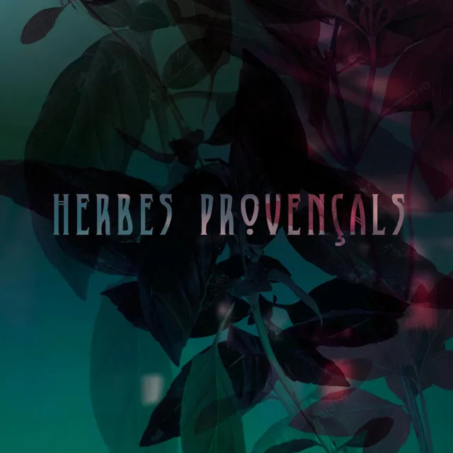 Herbes Provençals