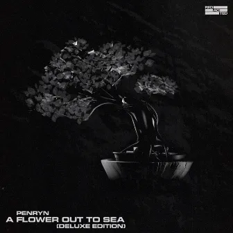 A Flower Out To Sea - Deluxe Edition by Penryn