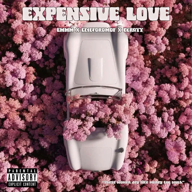 Expensive Love