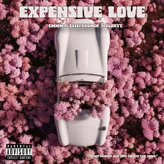 Expensive Love by Emmm