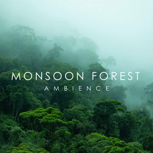 Monsoon Forest Ambience: Relaxing Journey into the Heart of the Jungle