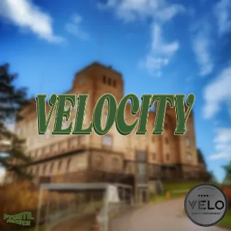 Velocity by Proto