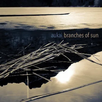 Branches of Sun by Aukai