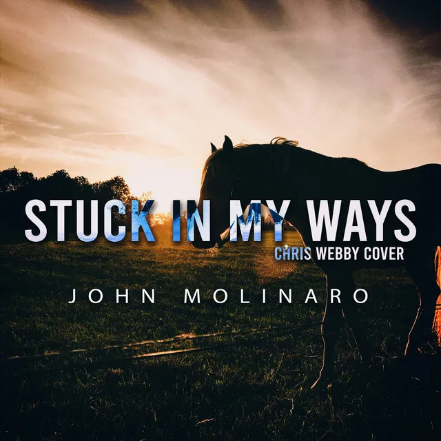 Stuck In My Ways (Cover)