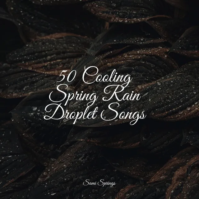 50 Cooling Spring Rain Droplet Songs