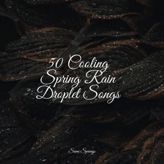 50 Cooling Spring Rain Droplet Songs by Rainfall For Sleep