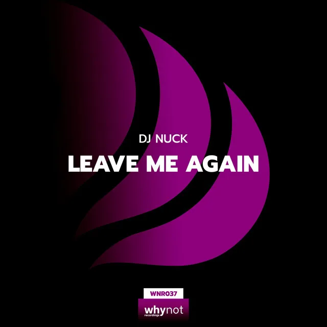 Leave Me Again - Instrumental Mix