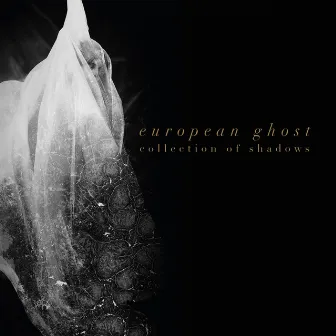 Collection of Shadows by European Ghost